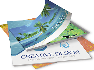 Catalogs